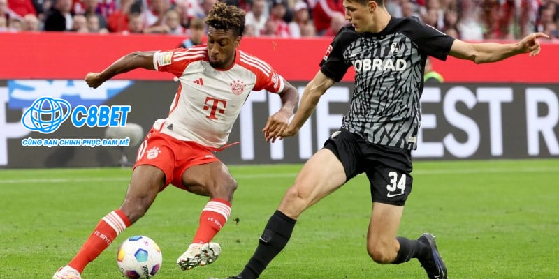 Soi kèo bóng đá Bayern Munich vs Freiburg 22h30 Ngày 01/09/2024